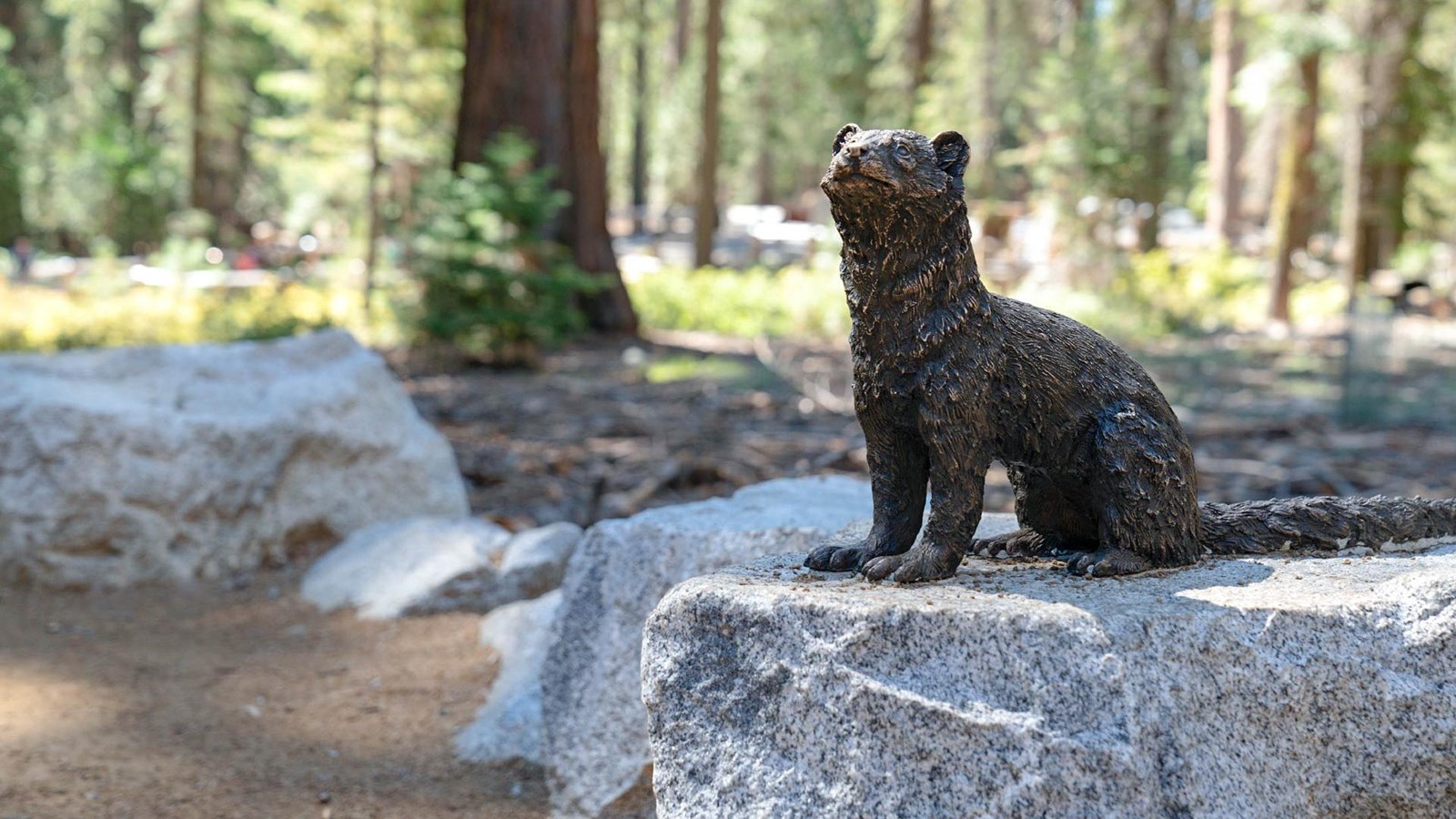 Tactile statue of a pacific fisher on a granite stone