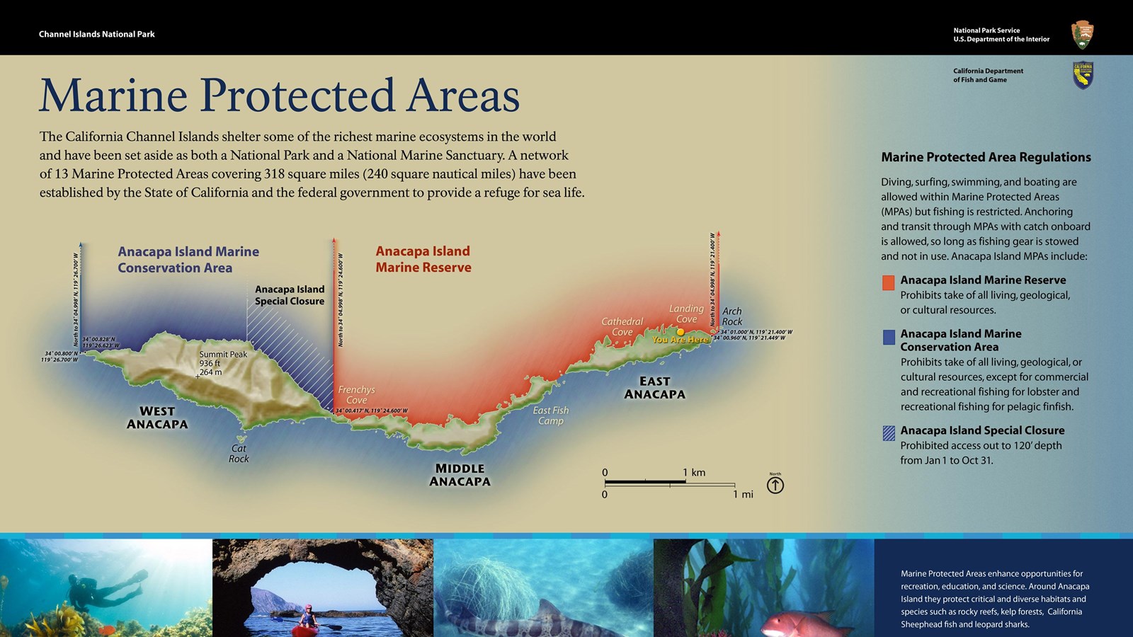 graphic sign with map  and images on marine life and regulations.