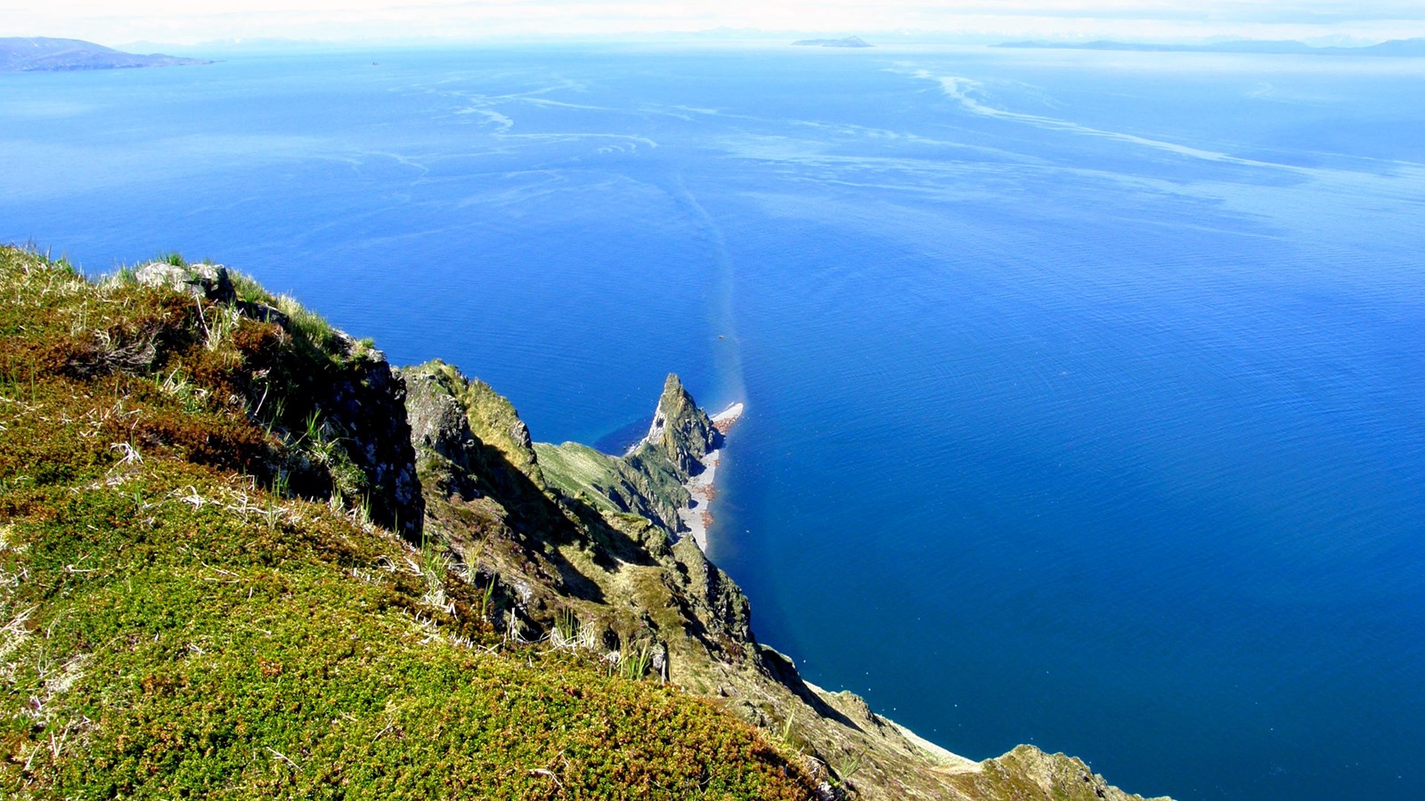 Photo overlooking vibrant blue waters in Bristol Bay from the top of a very high and steep sea cliff