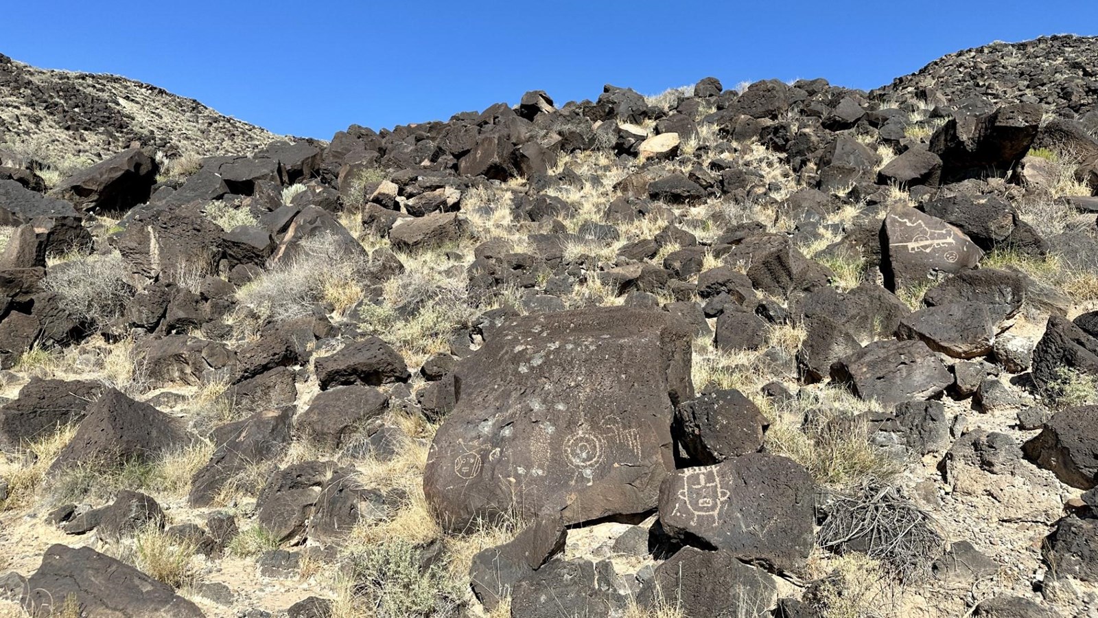Volcanic boulders with petroglyphs on them.