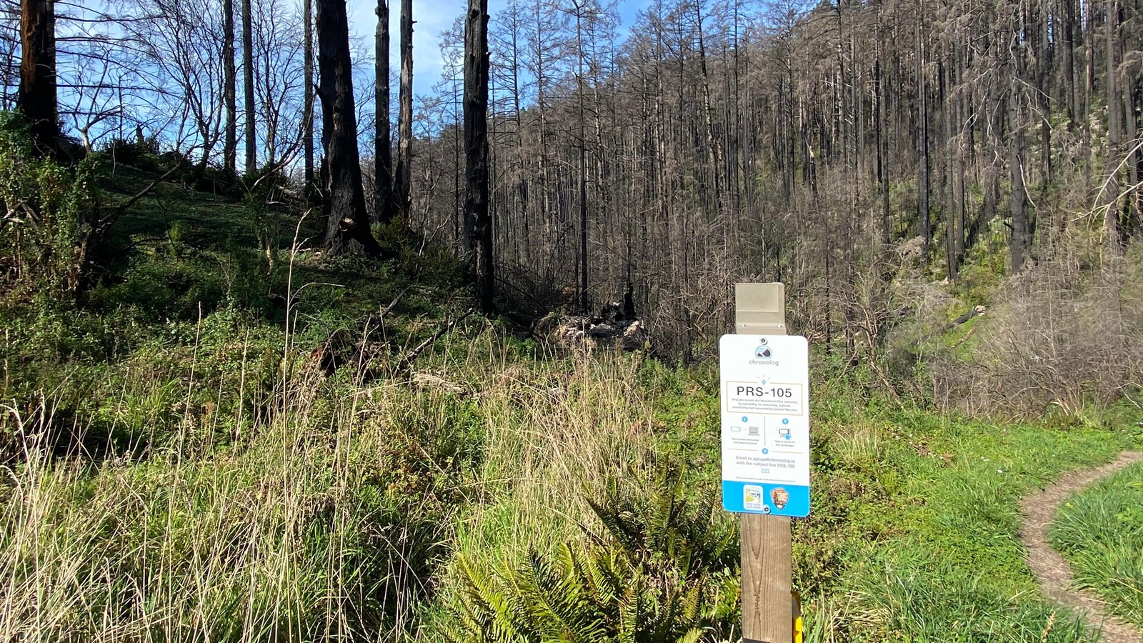 A small blue and white sign in front of a dirt trail, grasses, charred trees and a forested hillside