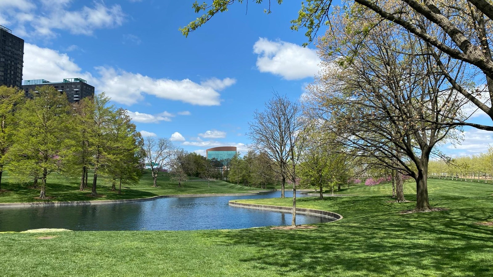 a curved man made pond sits surrounded by green grass and trees