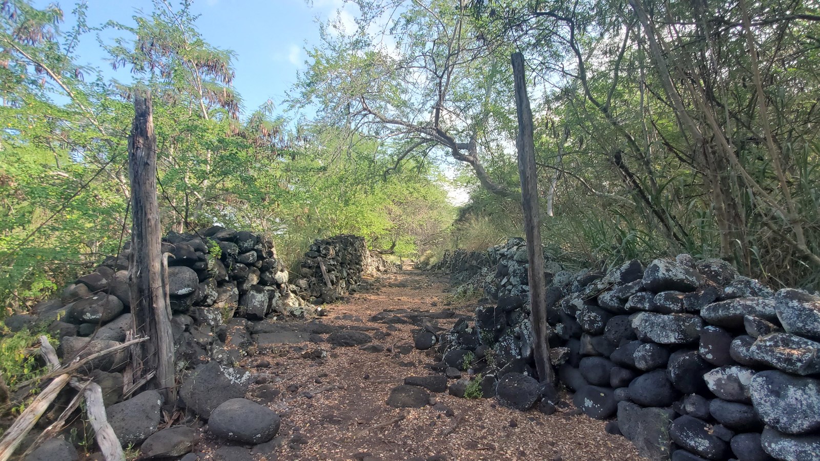 Stone walls line either side of a wide trail with trees and other vegetation beyond the walls