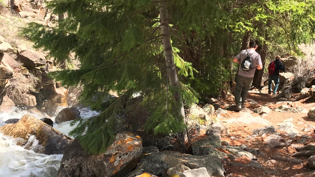 Curecanti Creek hiking trail
