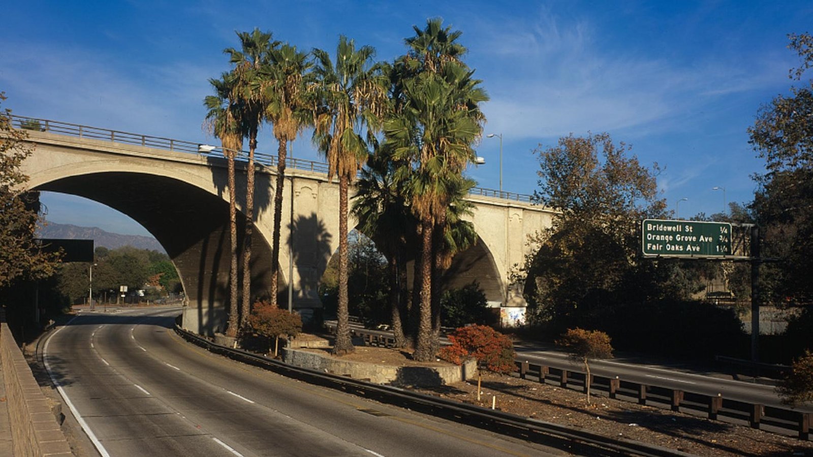 Roadway with bridge overpass with palm trees.
