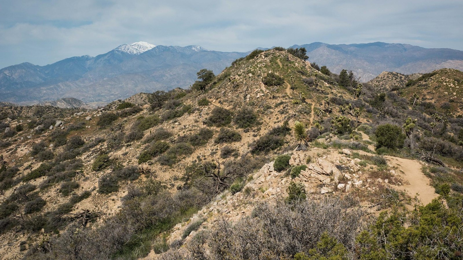 A trail leads to a mountain peak covered with desert shrubs and snowcapped mountains behind it.