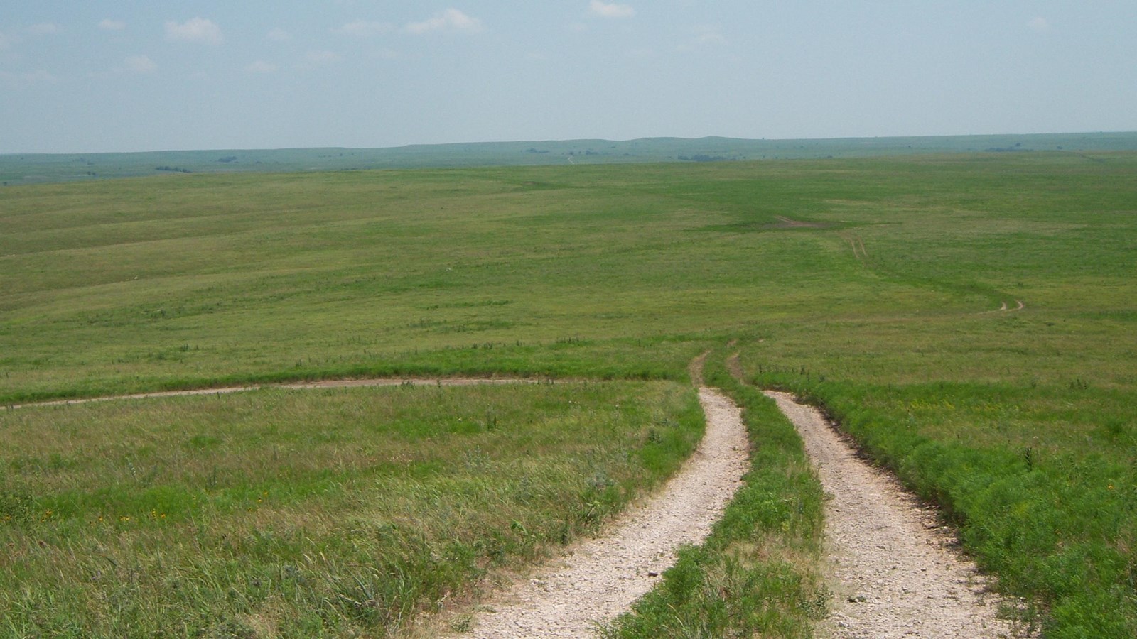 Green grasses adjacent to the white rock road