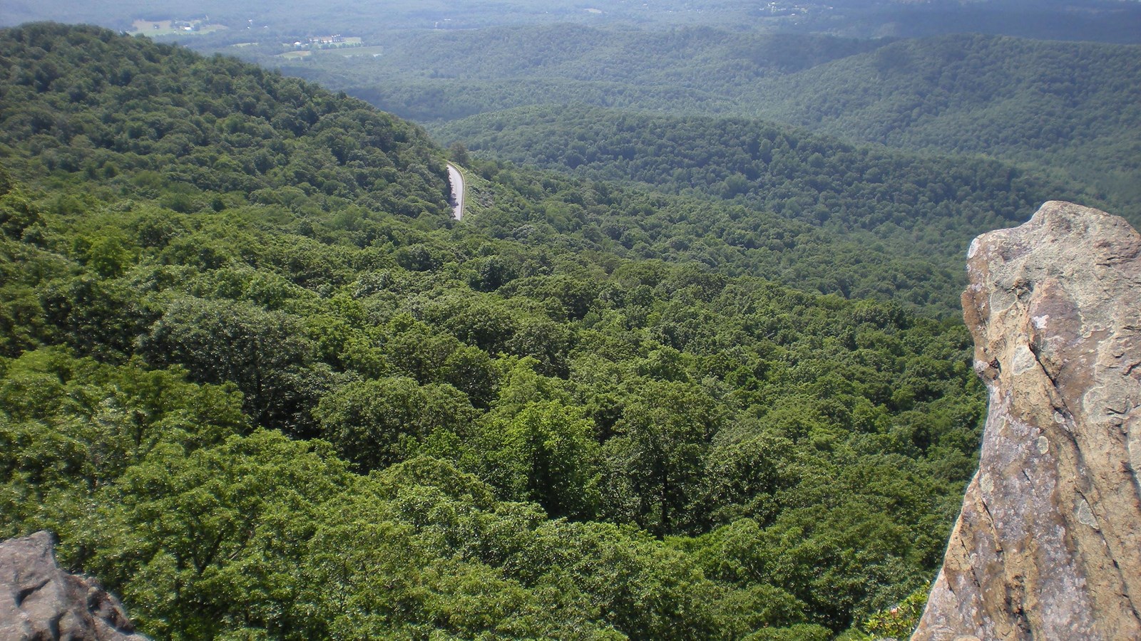 A forested valley stretches below a rocky outcrop, with patches of cleared farmland in the distance