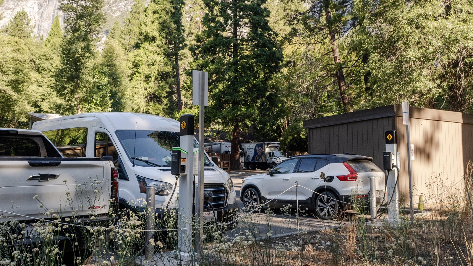 Several vehicles charging at a station in a parking lot with trees and cliffs towering behind