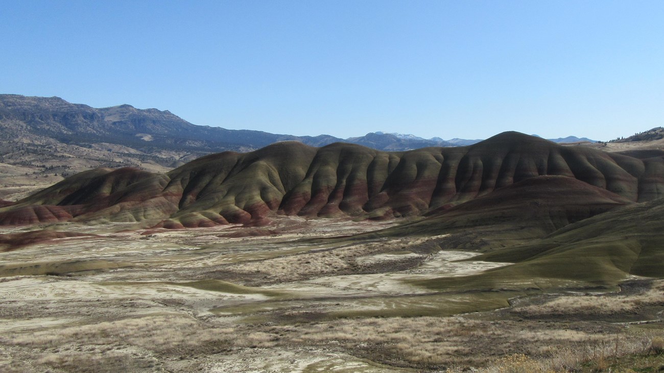 Red and green striped hills with shrubs in the foreground and clear blue skies in the background.