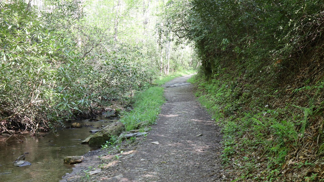 Gravel and dirt trail runs alongside a creek with lush greenery.