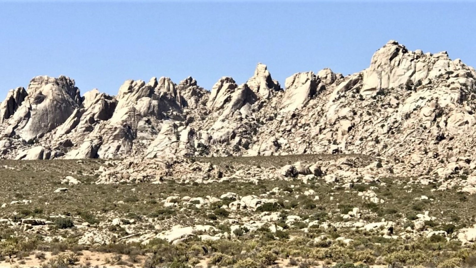 The rocky peaks of the Granite Mountains with a clear sky.  Creosote in the foreground.
