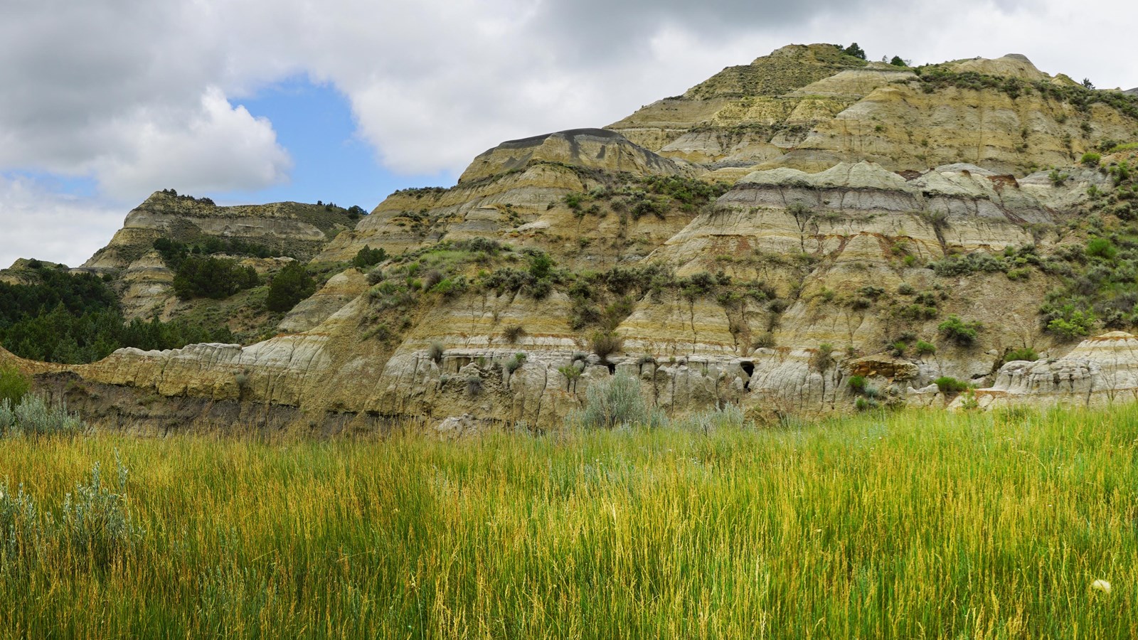 Barren buttes of layered rock with prairie grasses in front. 