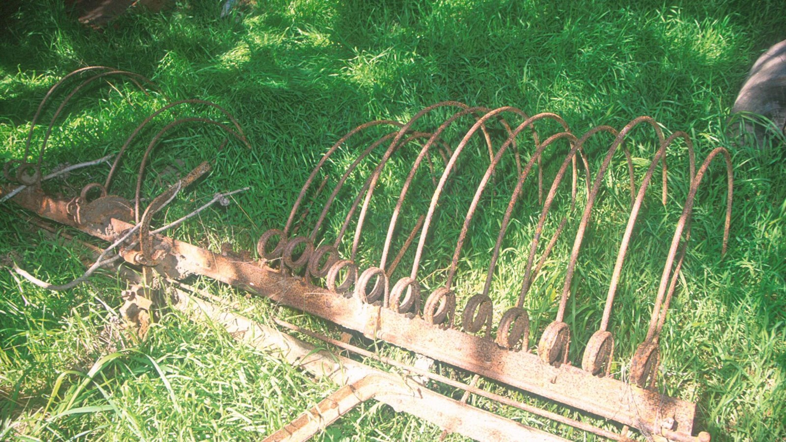 This horse drawn hay rake has a series of long curved, very thin comb like tines along a rod that si