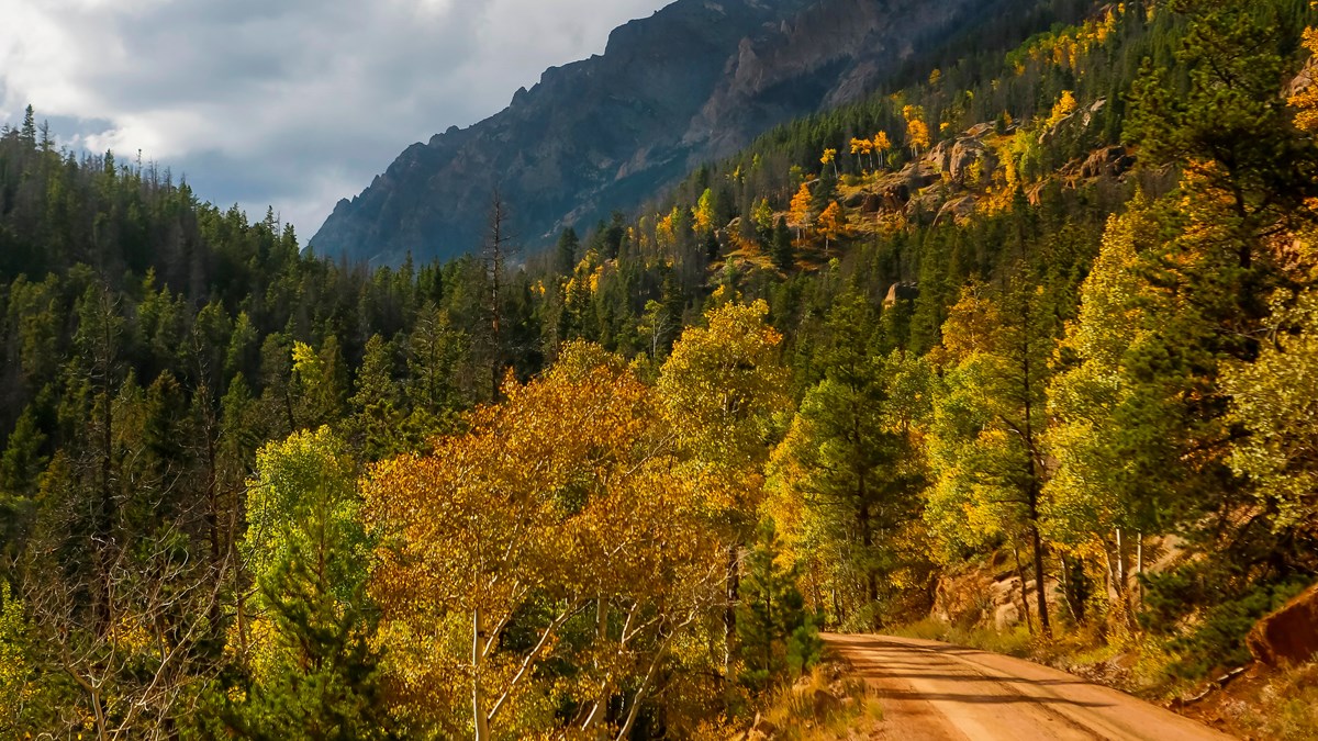 Drive Old Fall River Road (U.S. National Park Service)