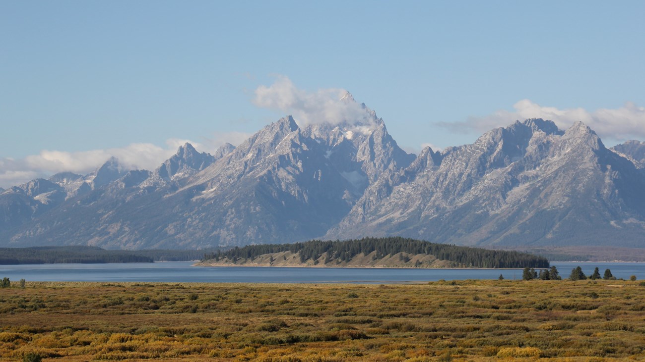 A mountain range above a flat meadow filled with vegetation.