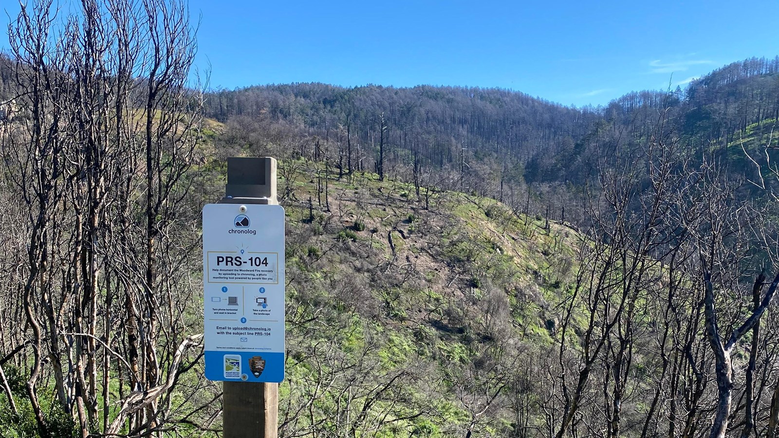 A small blue and white sign on wooden post in front of burned tree remains and a grassy hillside