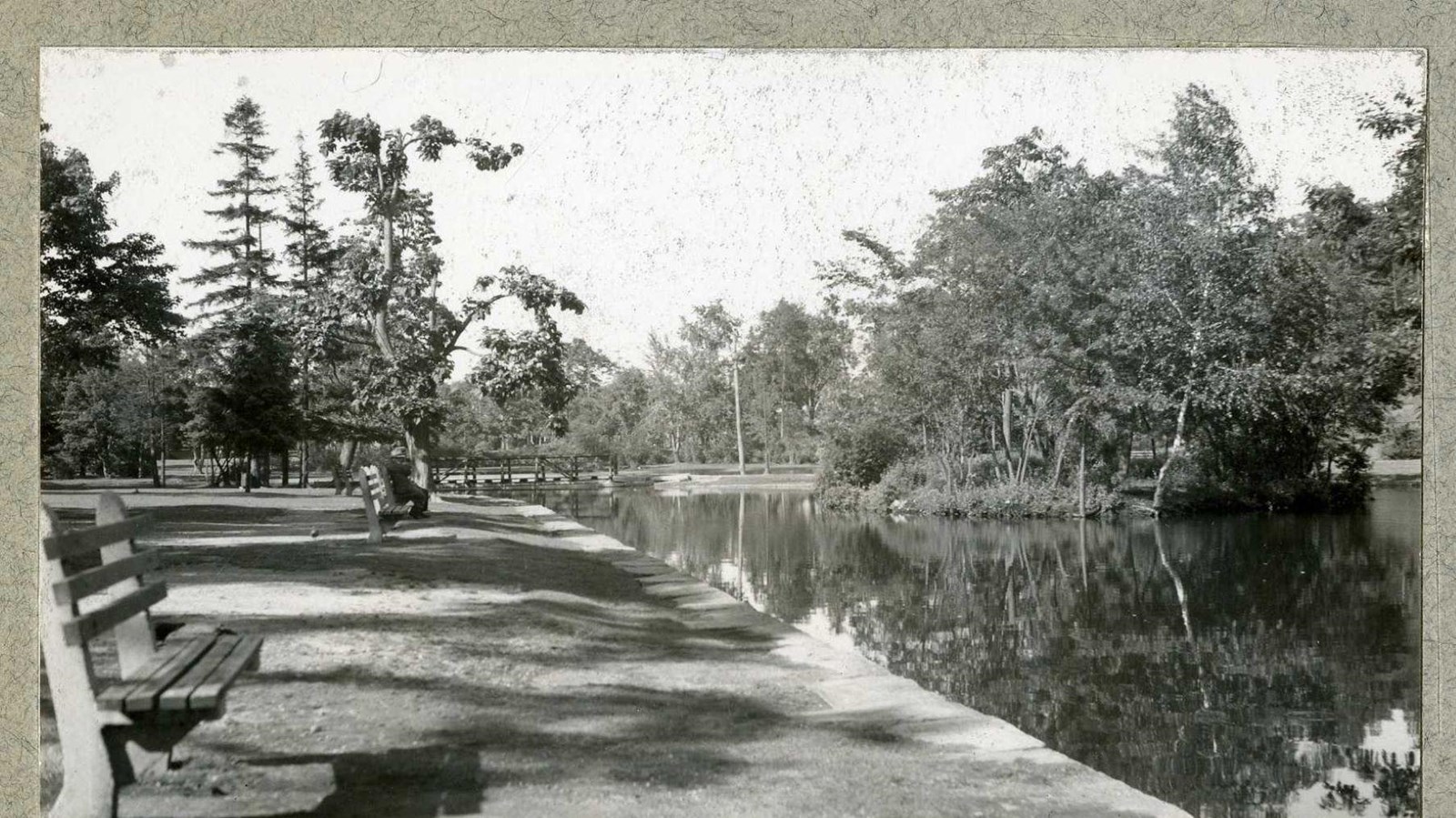 Black and white of benches along water with trees on other edge of water