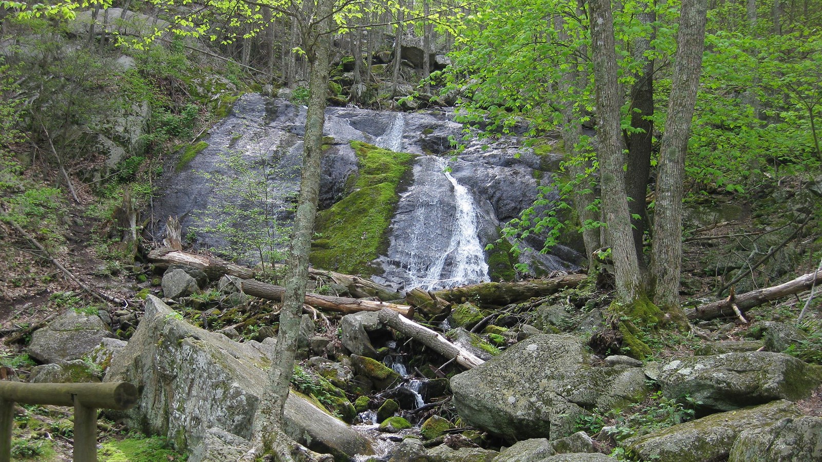 Water cascades over a rock outcropping in a lush, green forest