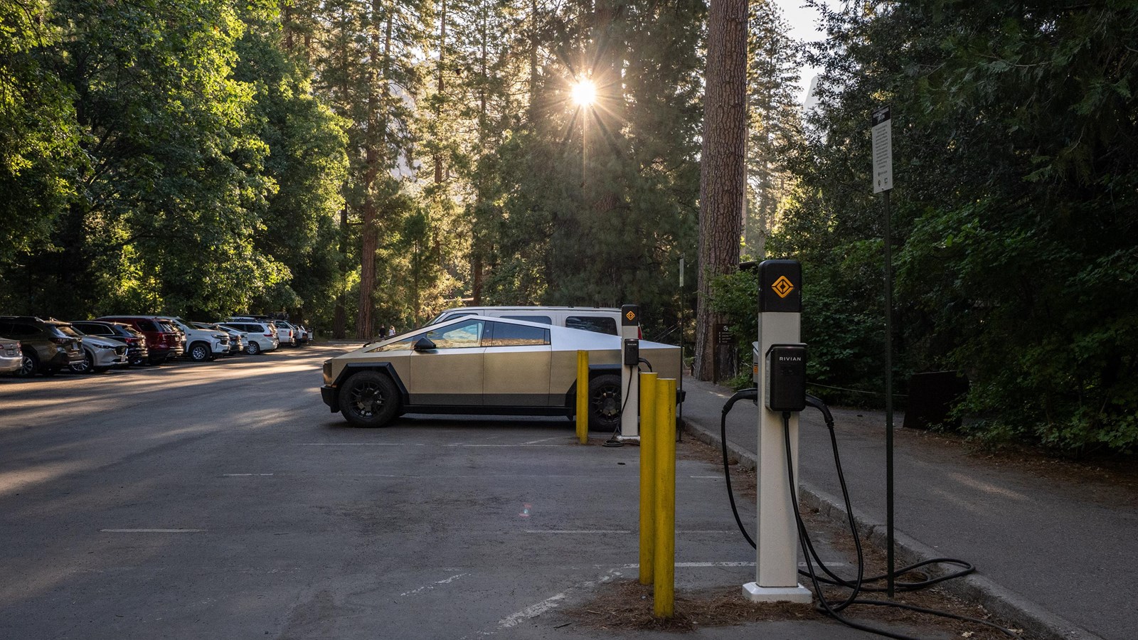 A parking lot with one truck and several EV charging stations as sun peeks through tall trees