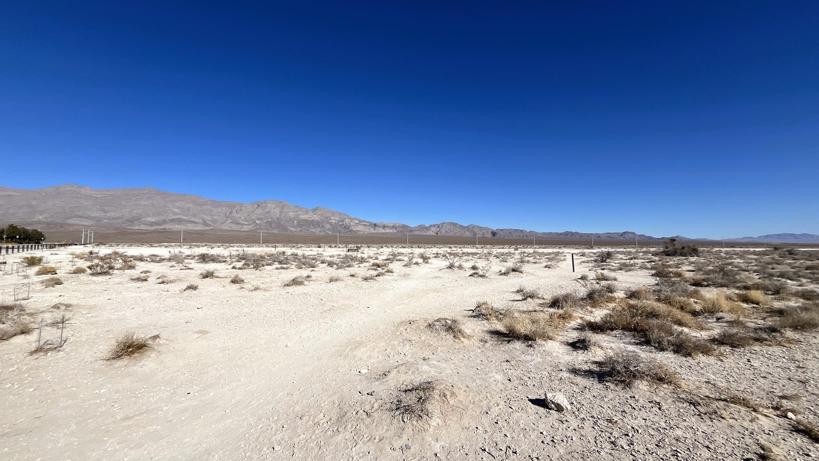 A trail winding through desert shrubs, with a mountain range and blue sky in the background.