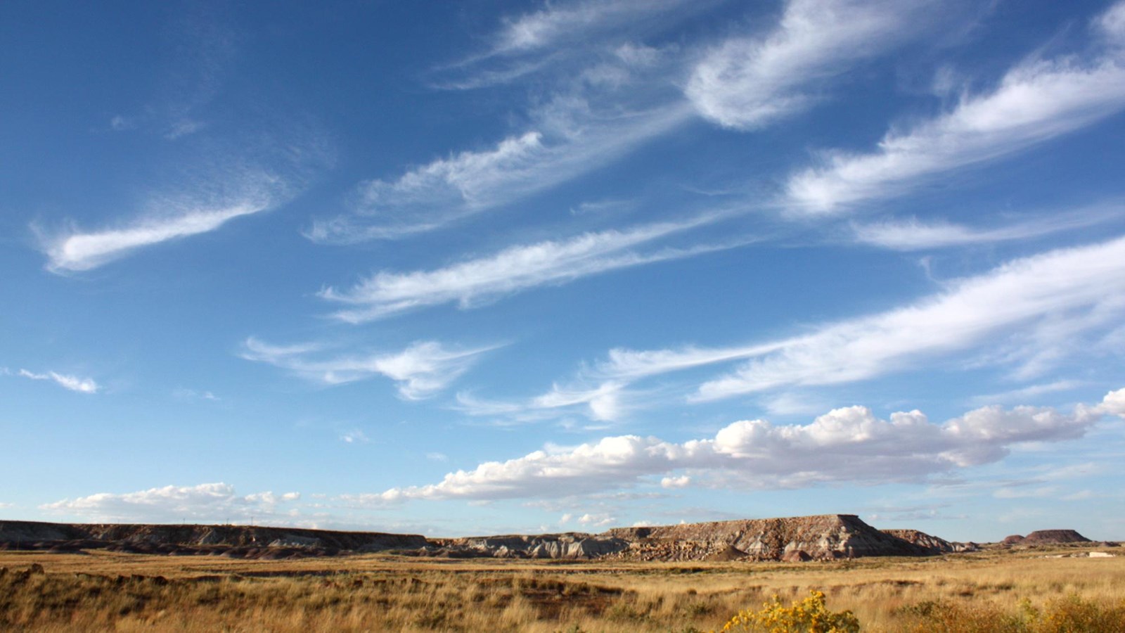 Linear clouds in a blue sky above grasslands and mesas.