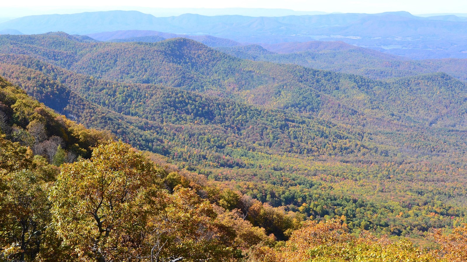 Fall colors cloak a vast swath of forest below, while mountains rise in the distance