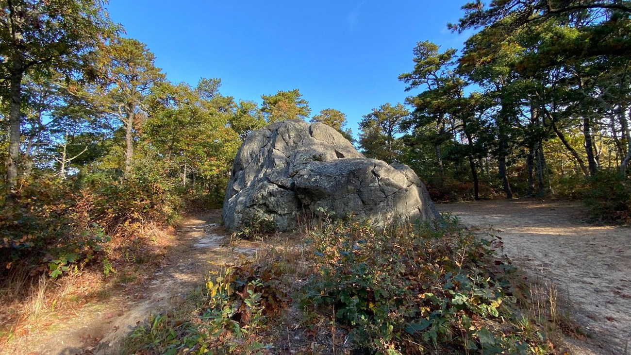 A large glacial boulder surrounded by a trail and shrubs against a blue sky.