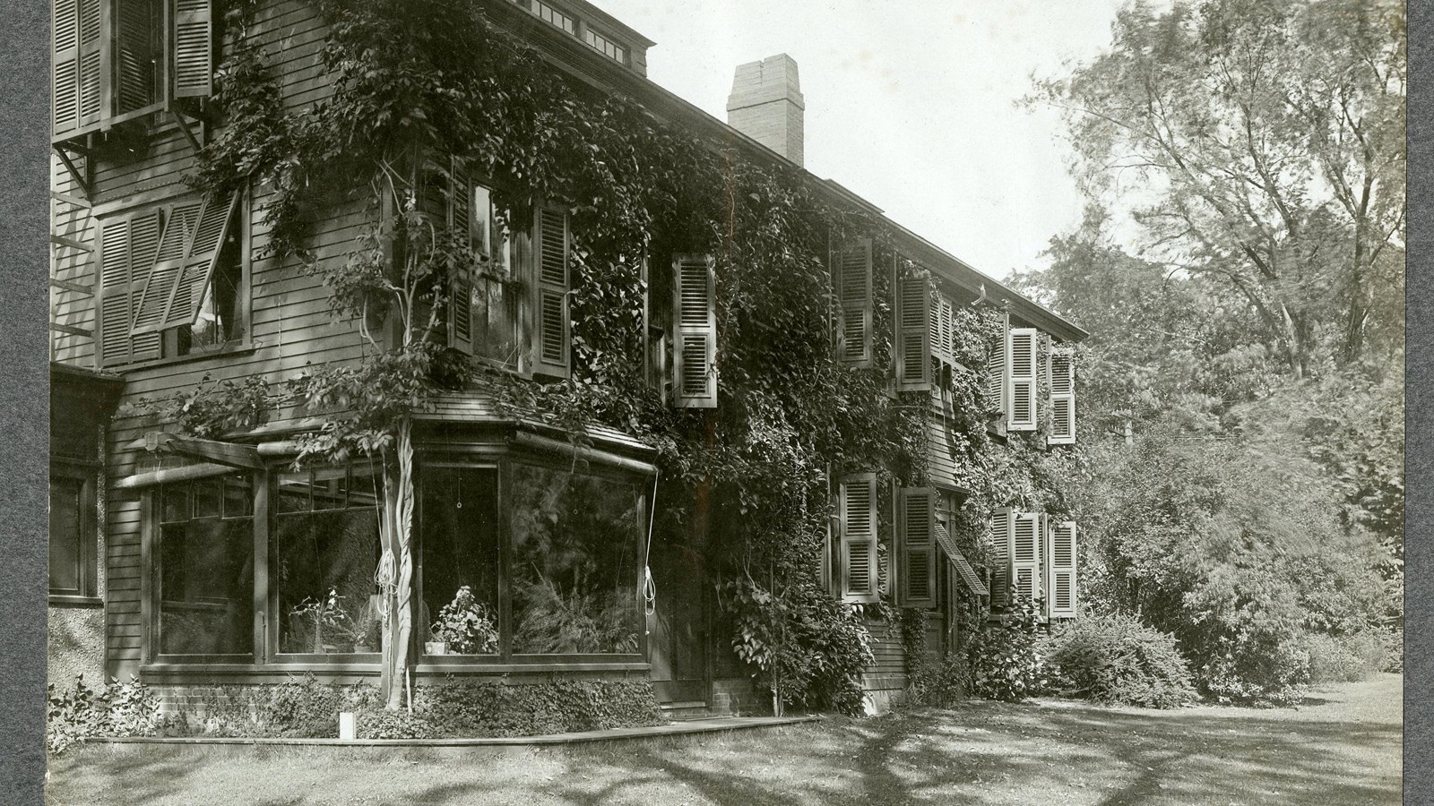 Black and white of home with vines covering it and trees on edge, house sits on grassy area