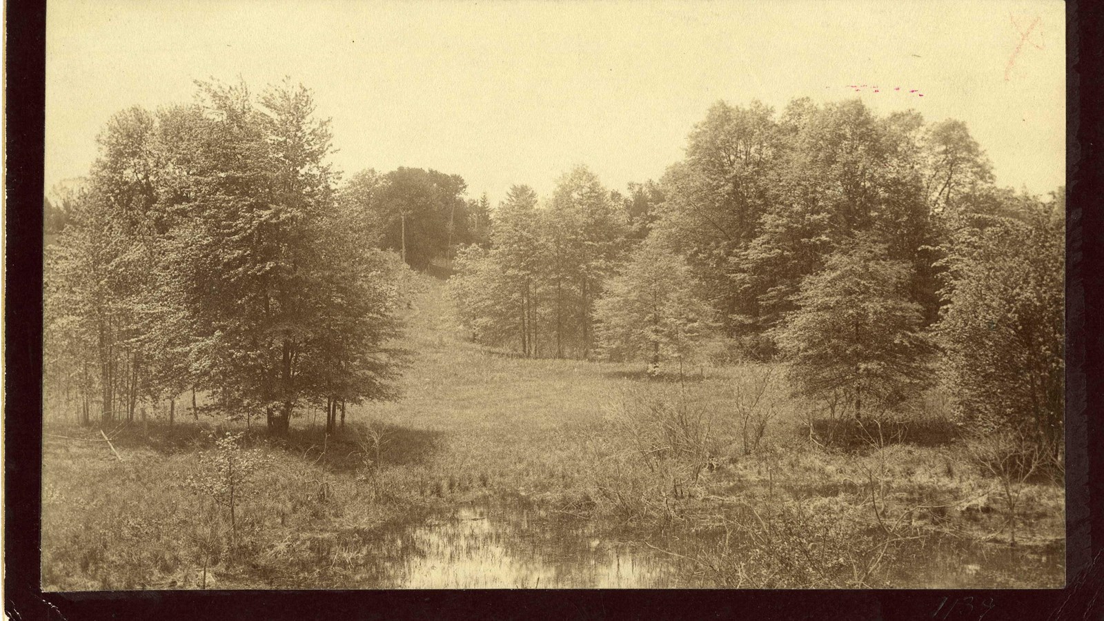 Black and white of large grassy area with a hill and trees all around
