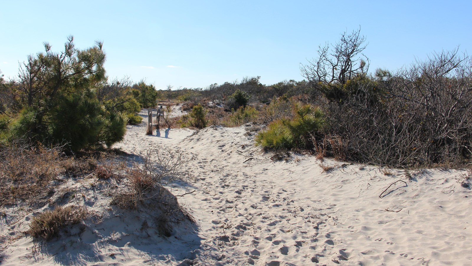 Life of the Dunes Trail Entrance