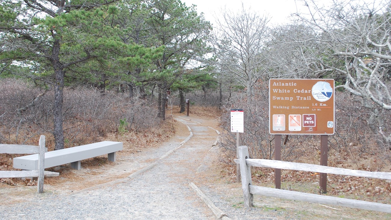 Entrance to the Atlantic White Cedar Swamp trail, signage and a trail surrounded by trees.