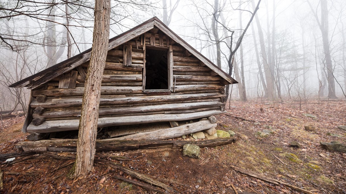 An old, decaying log building is shrouded in fog in the middle of the woods.