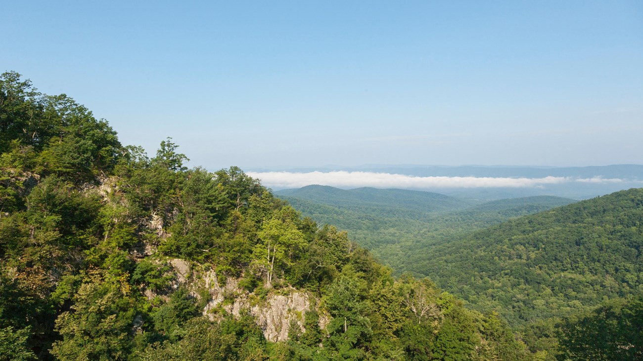 A viewpoint down into a small canyon lined with green trees with a valley beyond.