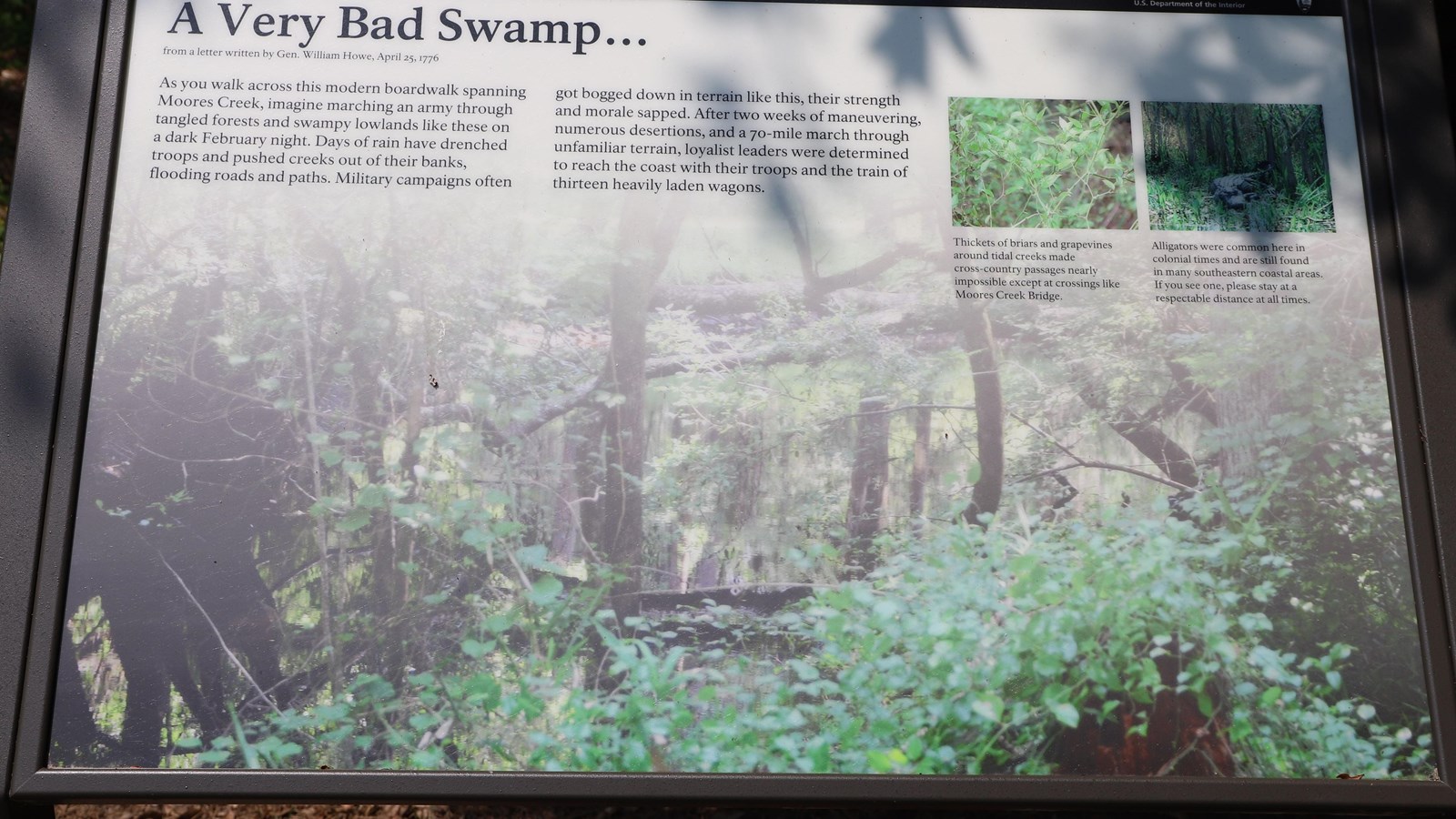 Exhibit with pictures of the creek and brush