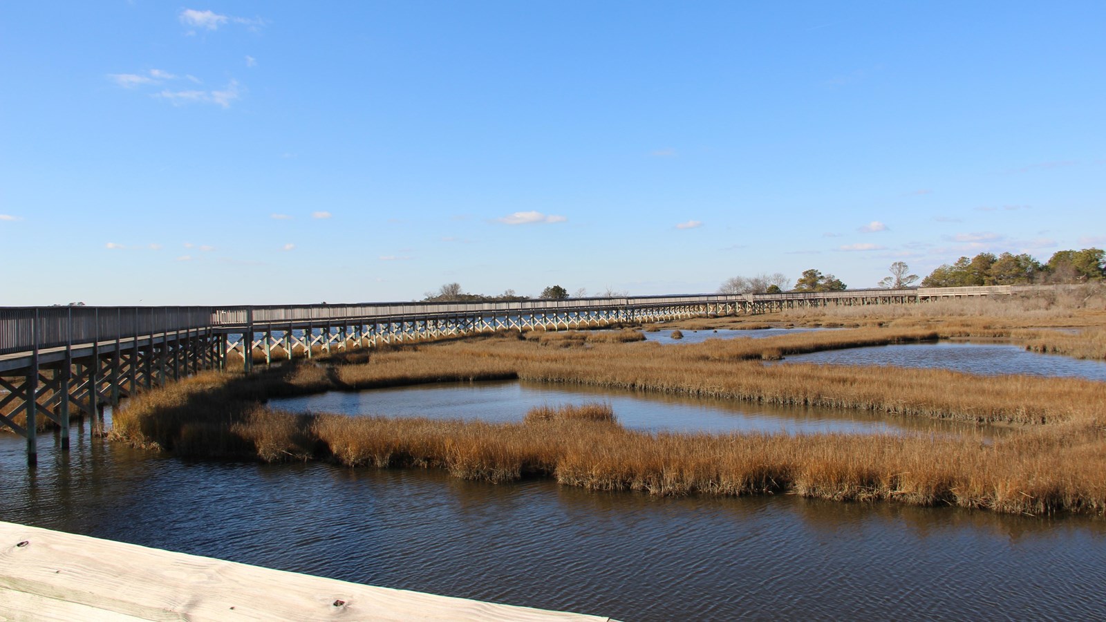 Life of the Marsh Trail Elevated Boardwalk