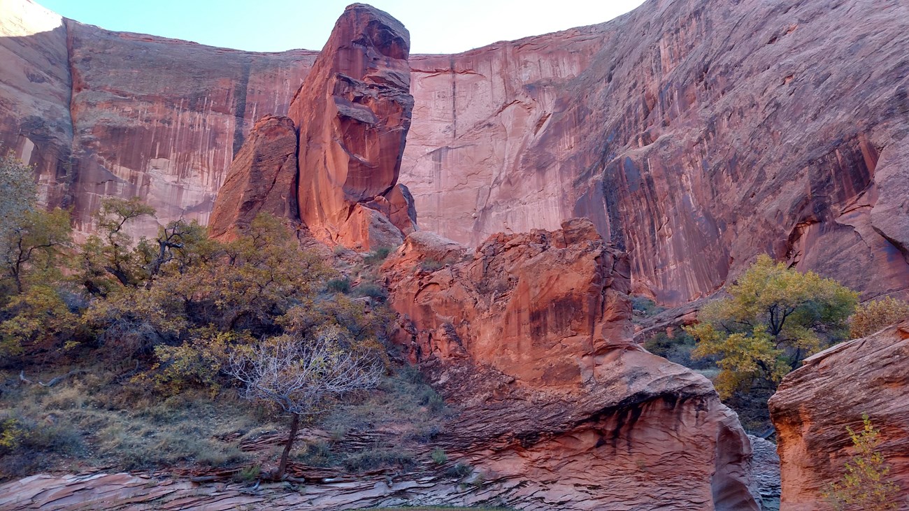 Sandstone canyon and butte with autumn trees.