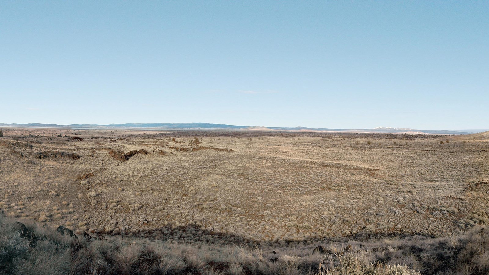Thomas Wright Battlefield