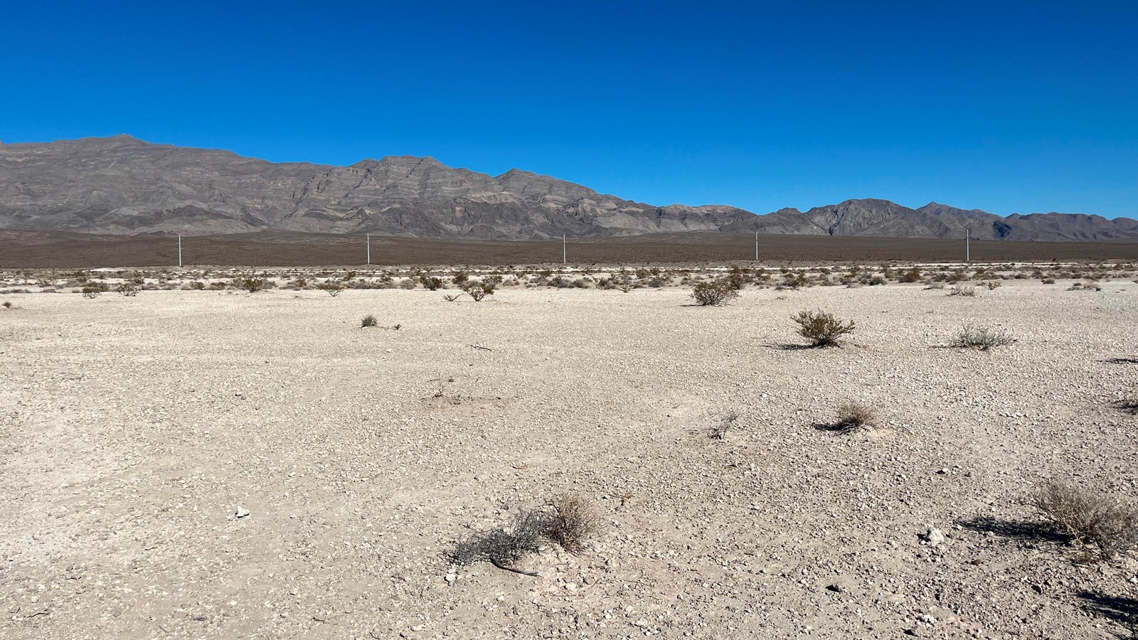 A tan desert landscape with mountains and a blue sky in the distance