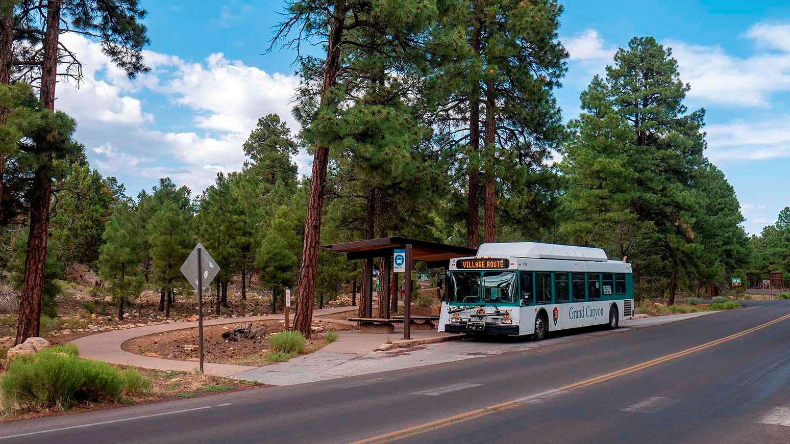 A white and green shuttle bus by a small bus stop shade structure under tall ponderosa pines