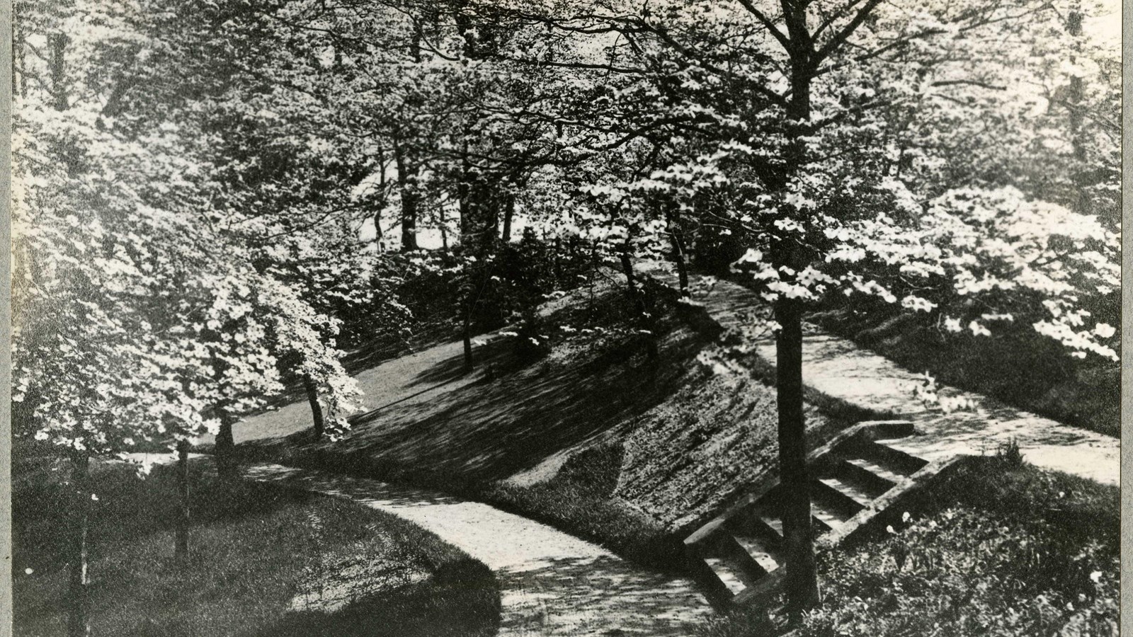Black and white of two paths separated by small grass hill and stairs with trees along the paths