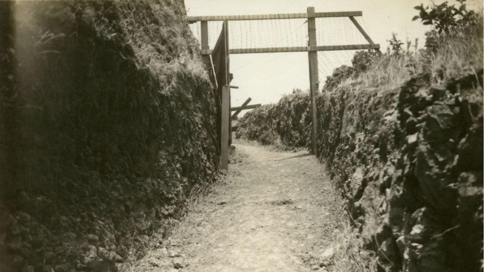 A historic picture of the trail leading to the Kalaupapa Settlement