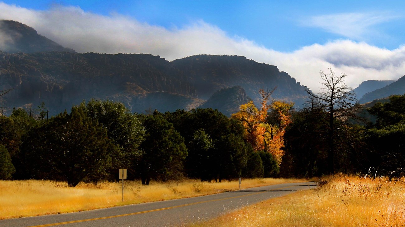 Road leading into grasslands and forests with surrounding mountains