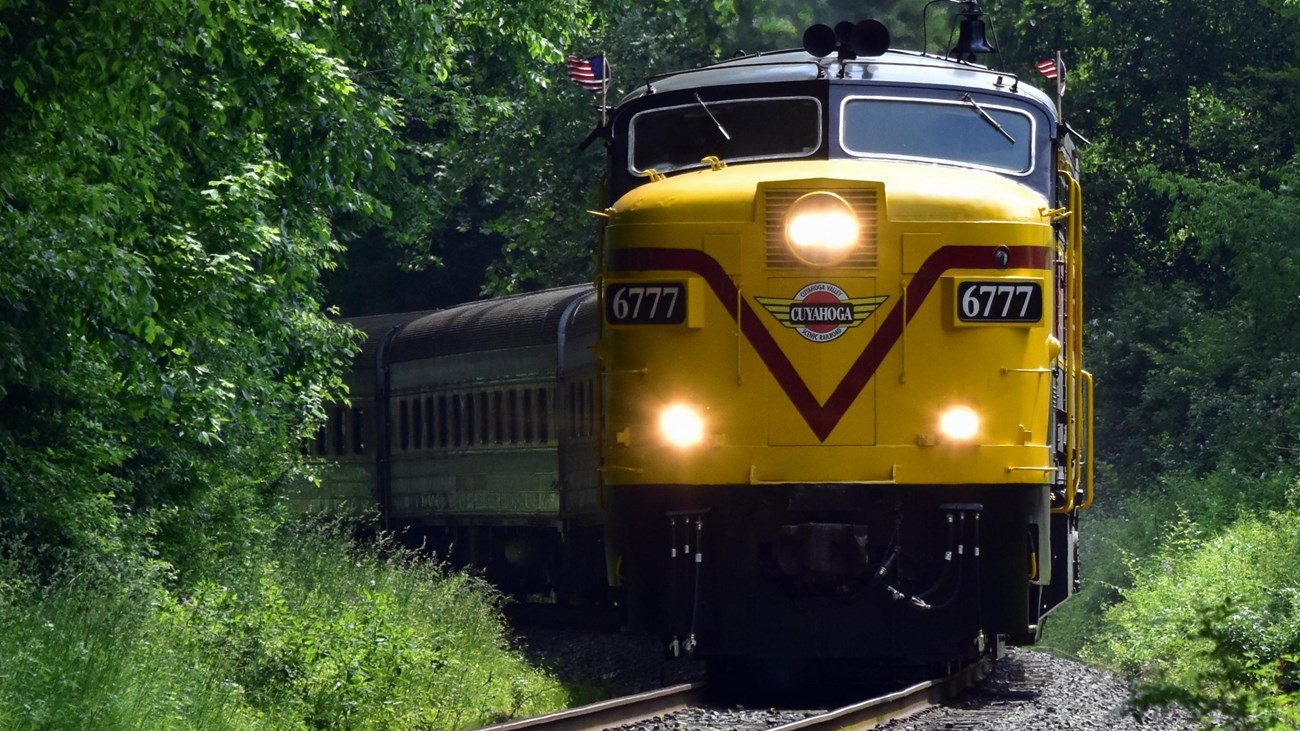 Yellow, red, and black train engine approaches along tracks through a forest.