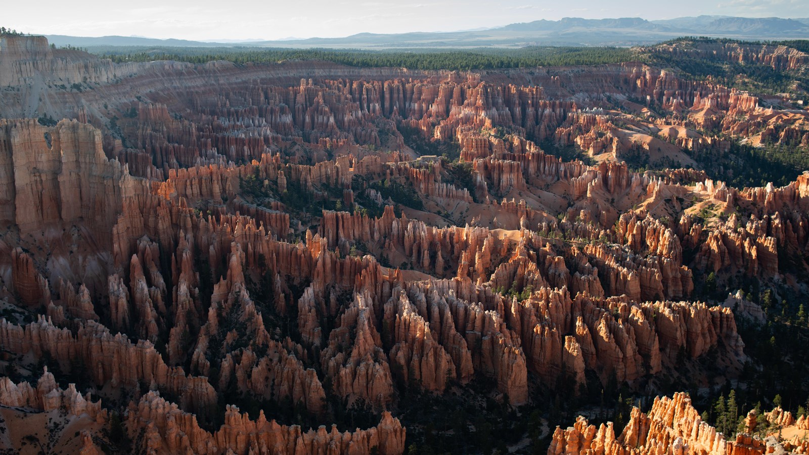 A red rock and forested landscape filled with rock spires