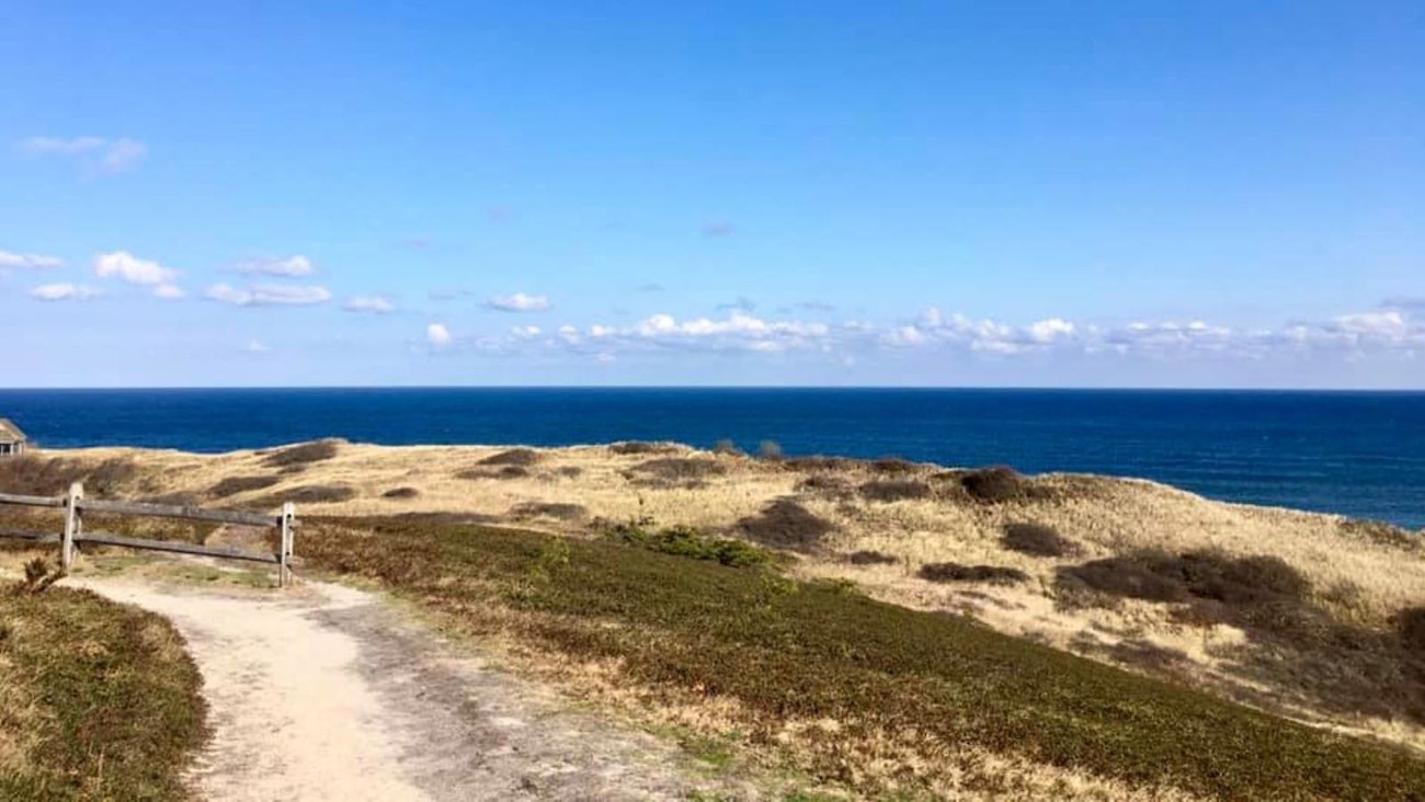 Overlook at Bearberry Hill; views out from the hilltop to the sweeping ocean with shrubs.