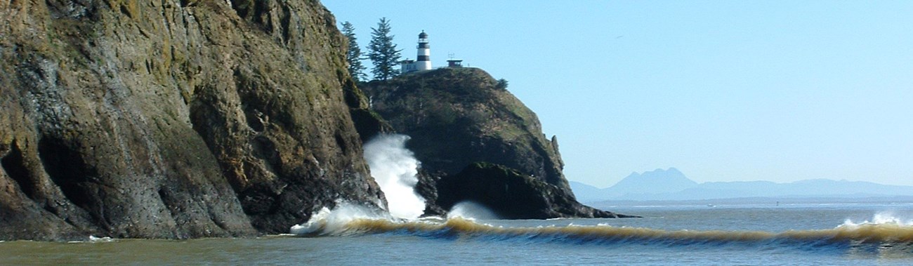 Cape Disappointment Landscape