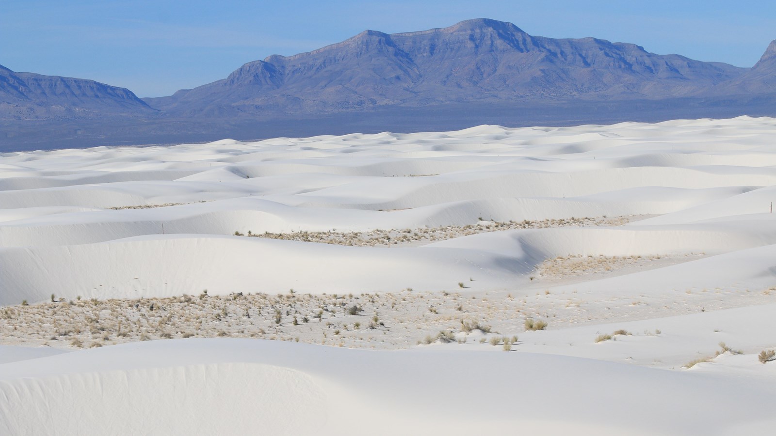 An aerial view of the Backcountry Camping Loop Trail.