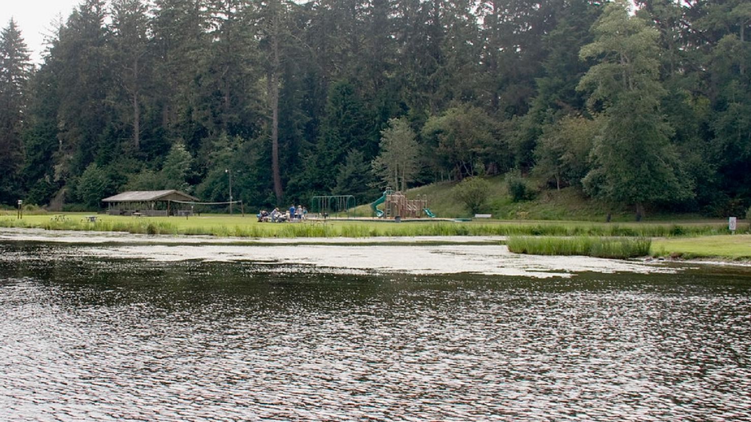 Families play in the playground along the shore of Cullaby Lake backdropped by forest
