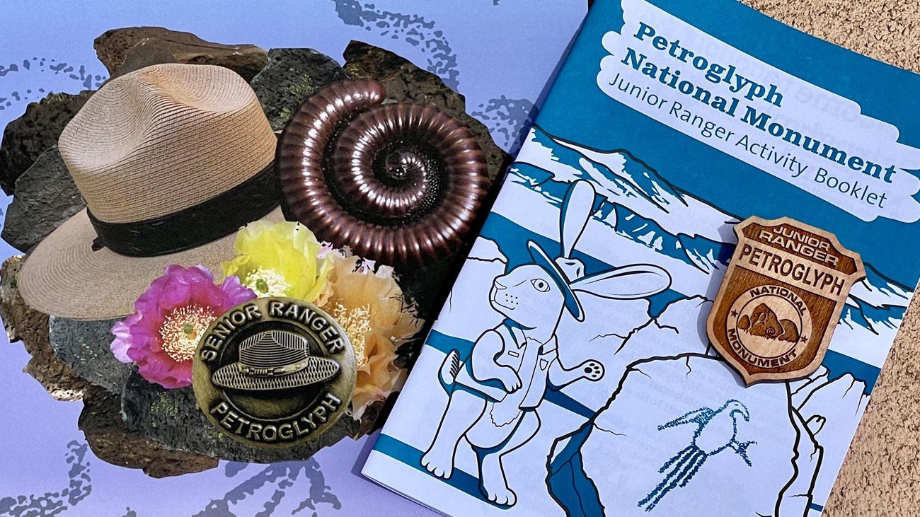 Junior and Senior Ranger activity books and badges.